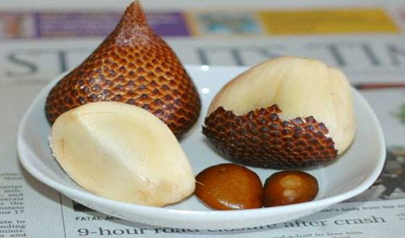 sorbet au salak